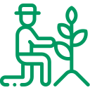 Commercial Landscaping